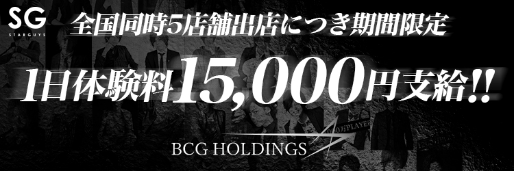 BCG HOLDINGS