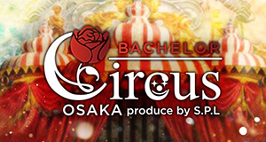 BACHELOR Circus